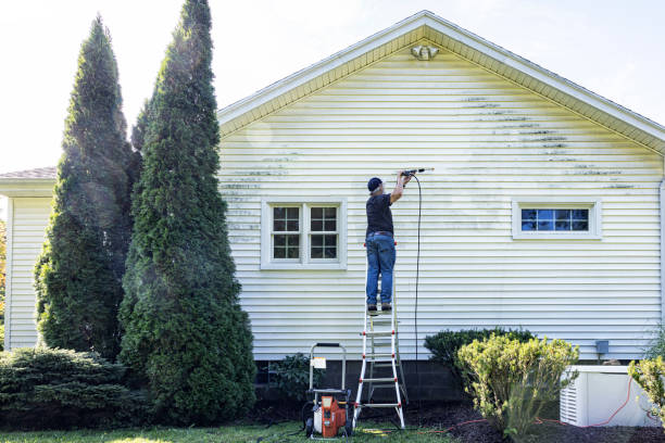 Why Choose Our Certified Pressure Washing Experts for Your Project Needs in Carlisle Rockledge, AL?